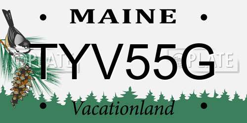 TYV55G Maine License Plate