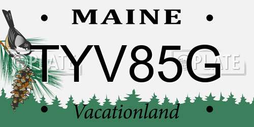 TYV85G Maine License Plate
