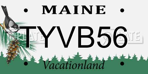 TYVB56 Maine License Plate