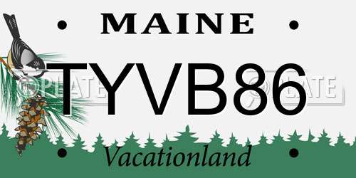 TYVB86 Maine License Plate