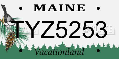 TYZ5253 Maine License Plate