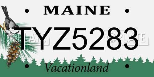 TYZ5283 Maine License Plate