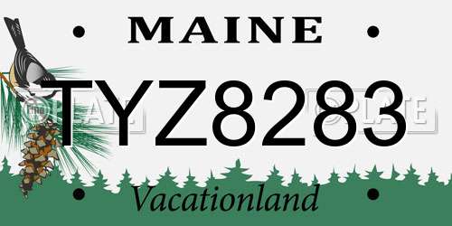 TYZ8283 Maine License Plate