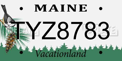TYZ8783 Maine License Plate