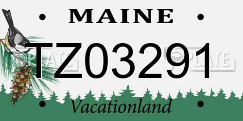 TZ03291 Maine License Plate