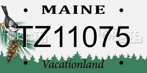 TZ11075 Maine License Plate