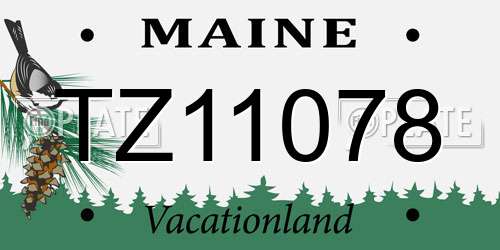 TZ11078 Maine License Plate