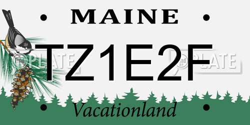 TZ1E2F Maine License Plate