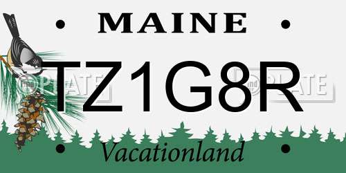 TZ1G8R Maine License Plate