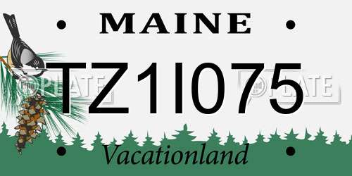 TZ1I075 Maine License Plate