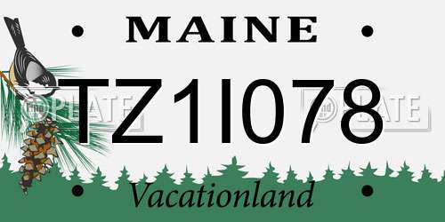 TZ1I078 Maine License Plate