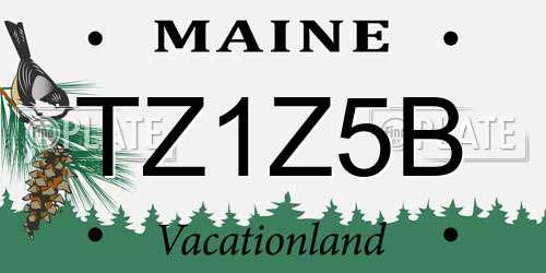 TZ1Z5B Maine License Plate