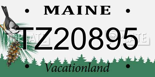 TZ20895 Maine License Plate