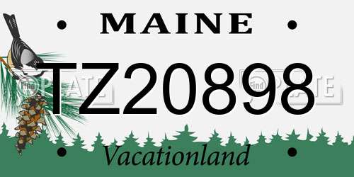 TZ20898 Maine License Plate