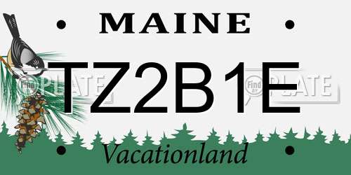 TZ2B1E Maine License Plate