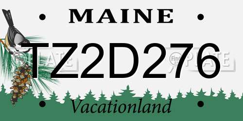 TZ2D276 Maine License Plate