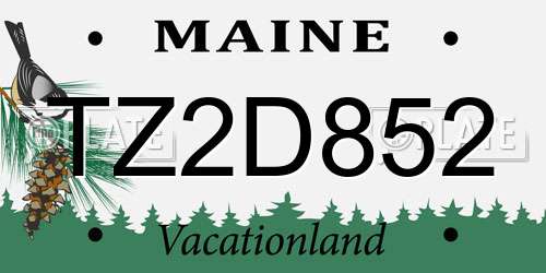 TZ2D852 Maine License Plate
