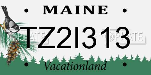 TZ2I313 Maine License Plate