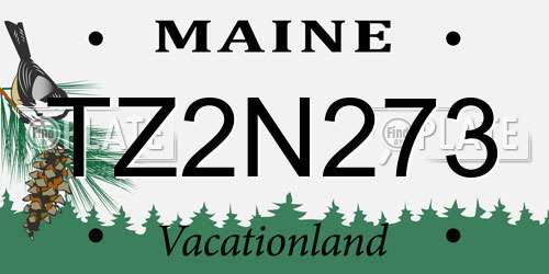 TZ2N273 Maine License Plate