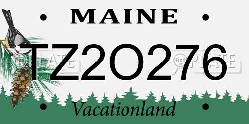 TZ2O276 Maine License Plate