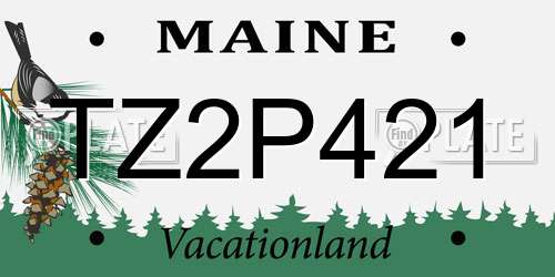 TZ2P421 Maine License Plate