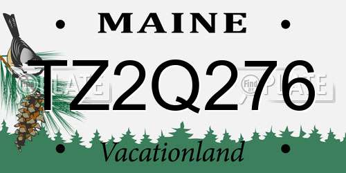 TZ2Q276 Maine License Plate