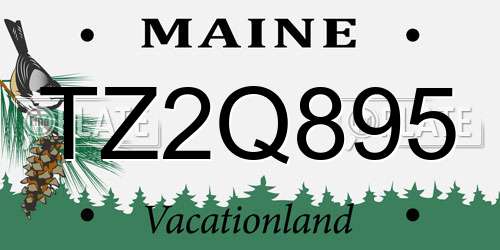 TZ2Q895 Maine License Plate