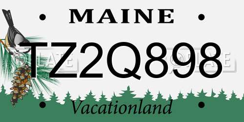 TZ2Q898 Maine License Plate