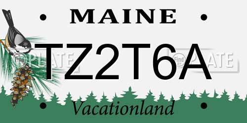 TZ2T6A Maine License Plate