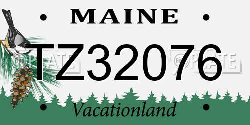 TZ32076 Maine License Plate