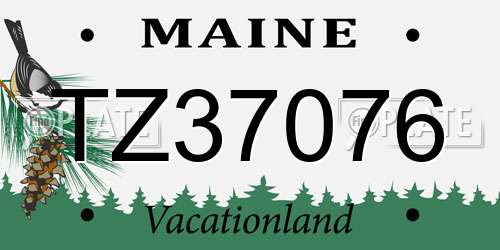 TZ37076 Maine License Plate
