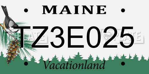 TZ3E025 Maine License Plate