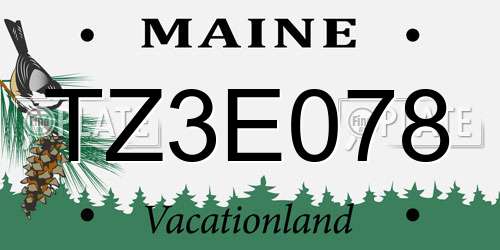 TZ3E078 Maine License Plate