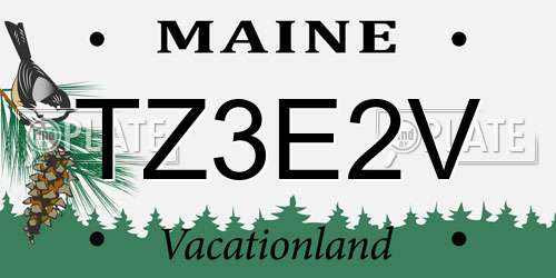 TZ3E2V Maine License Plate