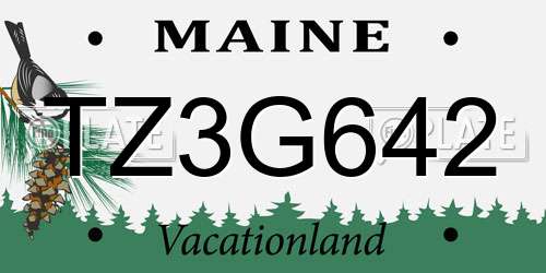 TZ3G642 Maine License Plate