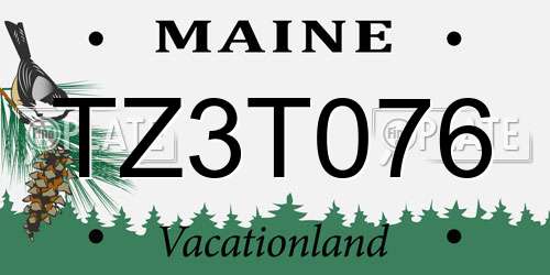 TZ3T076 Maine License Plate