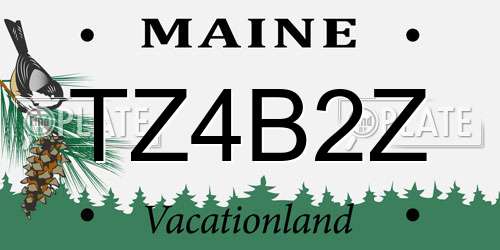 TZ4B2Z Maine License Plate