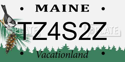 TZ4S2Z Maine License Plate