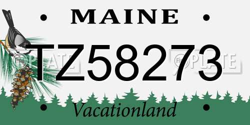 TZ58273 Maine License Plate