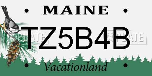 TZ5B4B Maine License Plate