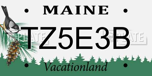 TZ5E3B Maine License Plate