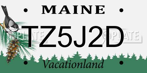 TZ5J2D Maine License Plate