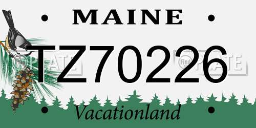 TZ70226 Maine License Plate