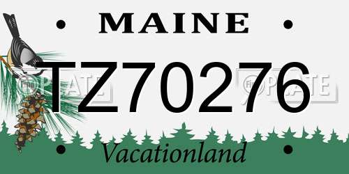 TZ70276 Maine License Plate