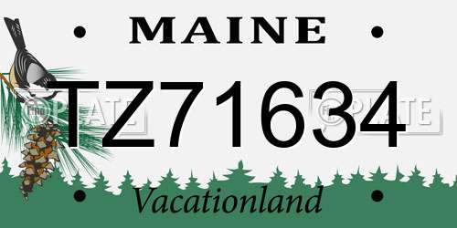 TZ71634 Maine License Plate