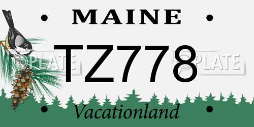 TZ778 Maine License Plate