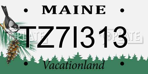 TZ7I313 Maine License Plate