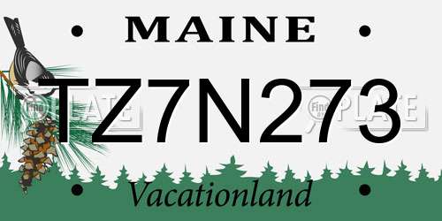 TZ7N273 Maine License Plate