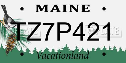 TZ7P421 Maine License Plate