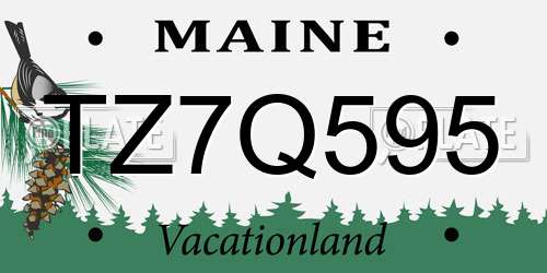 TZ7Q595 Maine License Plate